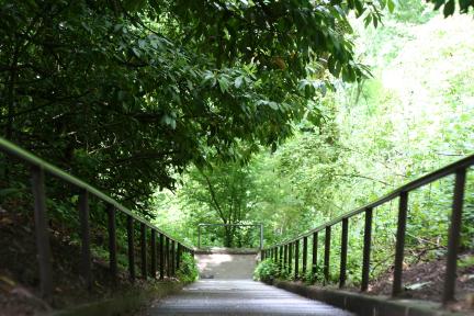 Stairs leading down the bluff from Loyal Heights towards Golden Gardens, from the top.