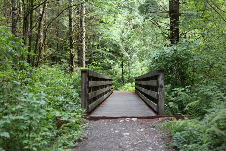 Bridge.